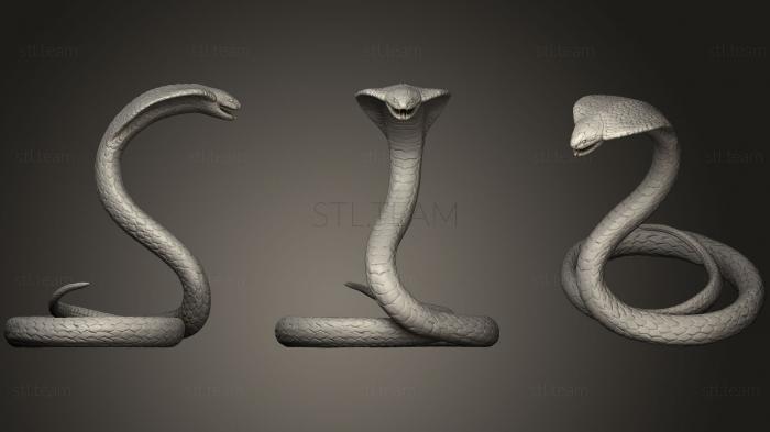 3D модель Королевская кобра (STL)